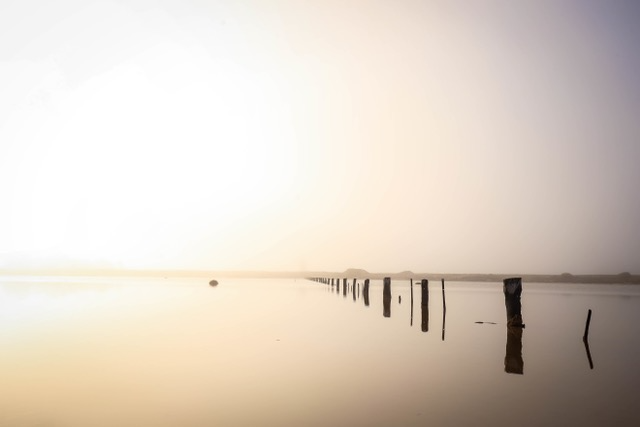 Sea with wooden planks sticking out of the water