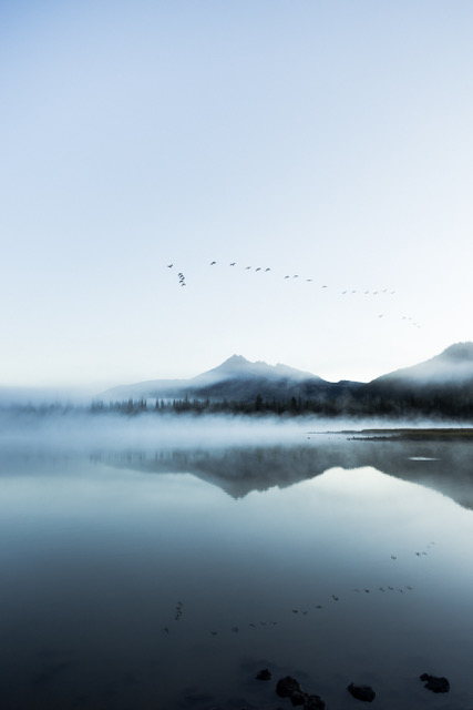 Birds flying over a calm body of water with mountains in the background